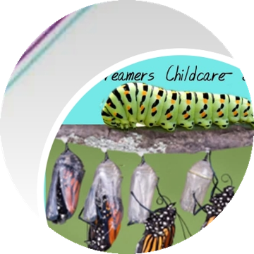 Caterpillar to butterfly emblem
